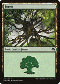 Forest (272)