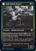 Infestation Expert