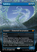 Subtlety (Borderless)